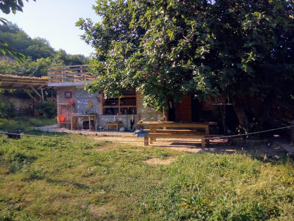 The House In The Village Pellumbas Екстериор снимка