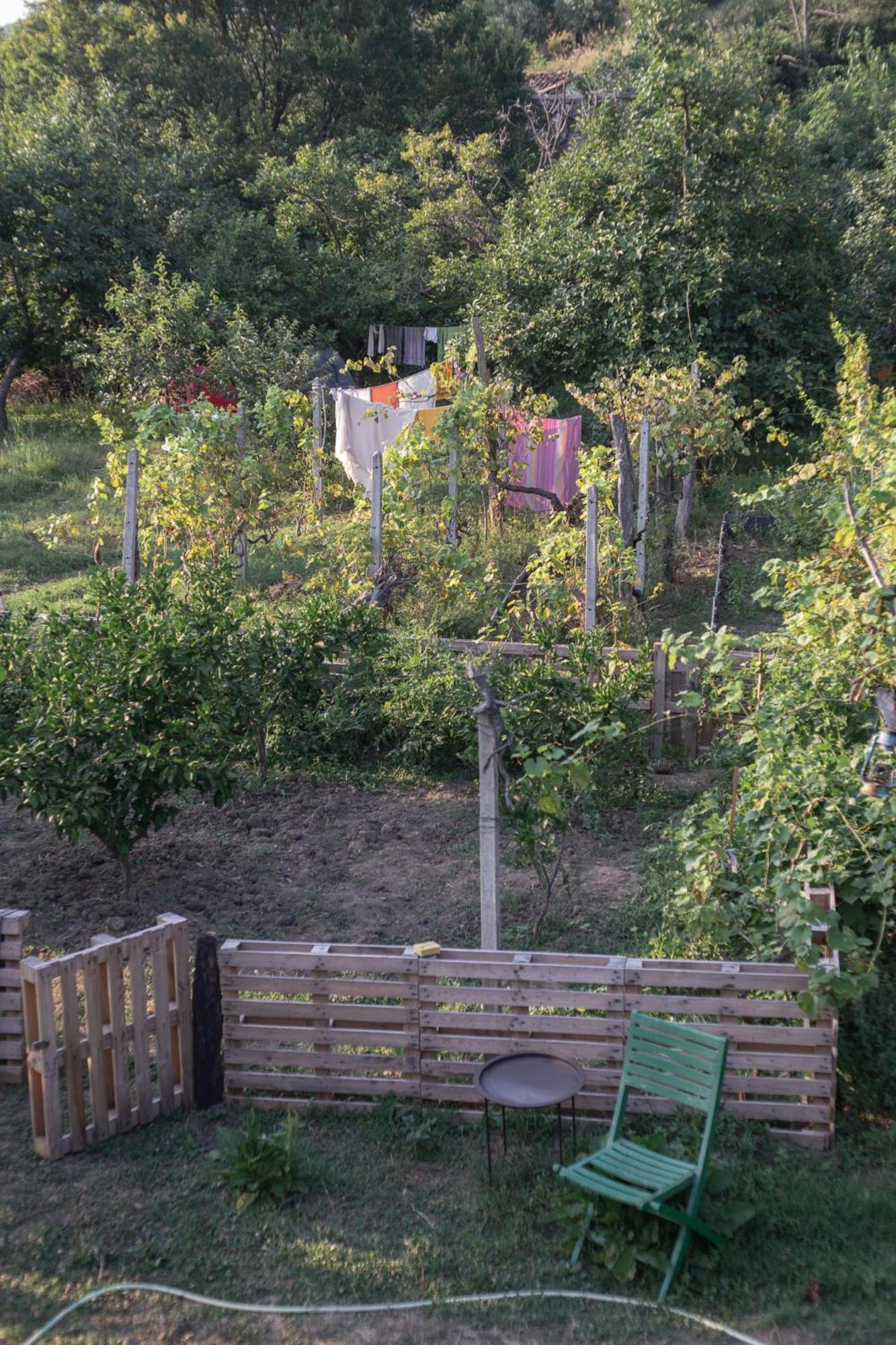 The House In The Village Pellumbas Екстериор снимка