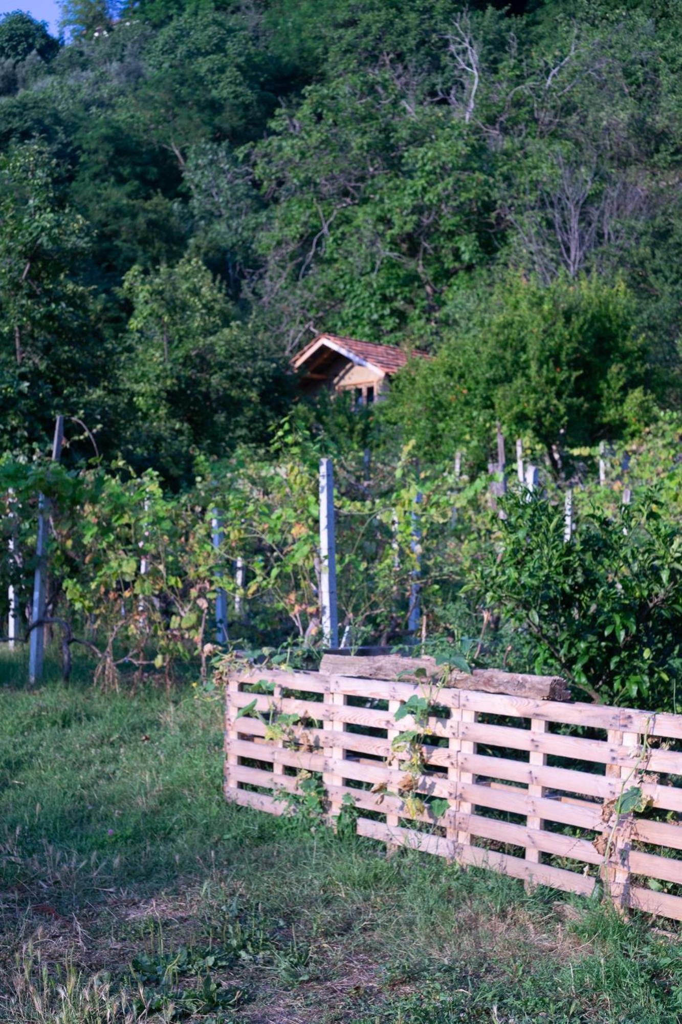 The House In The Village Pellumbas Екстериор снимка
